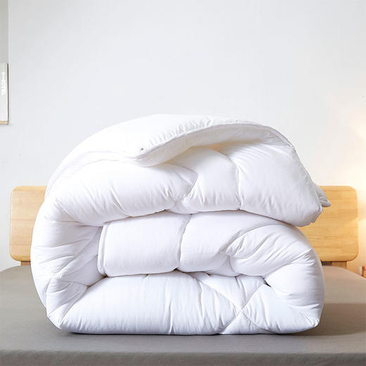 故园艾宁环保冬被芯2.0*2.3m【LY】 商品图4