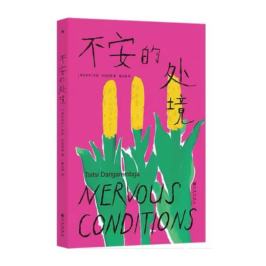不安的处境 家庭环境女性成长 非洲女性主义里程碑 外国文学小说 后浪正版 商品图3