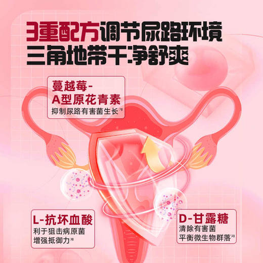 【保税仓】ISDGPREMIUM蔓越莓精华硬胶囊60粒 商品图2