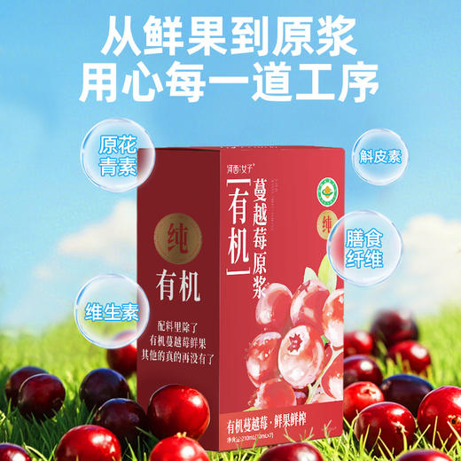 河西女子 有机蔓越莓原浆 210ml（30ml*7袋） 商品图2