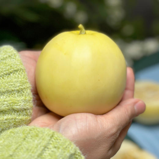 【京东包邮】山东小蜜蜂甜瓜 蜜罐蜜瓜 3斤/4.5彩箱装 商品图2