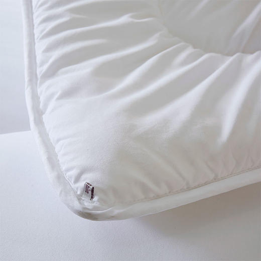 故园艾宁环保冬被芯2.0*2.3m【LY】 商品图1