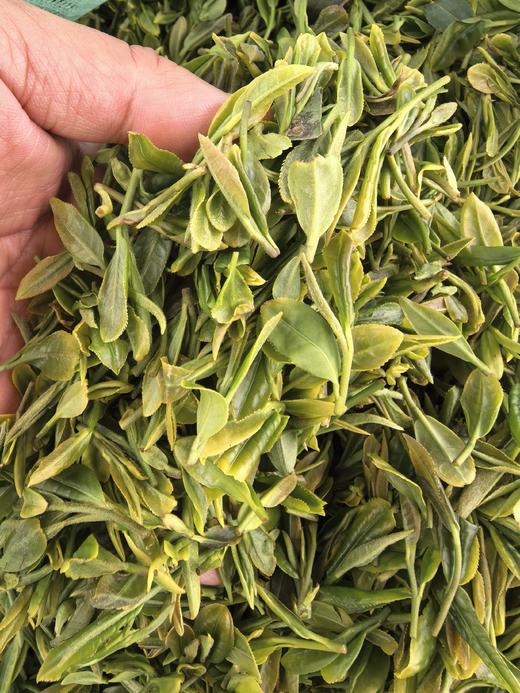 【直播结缘礼】[日照绿茶] 专属尝鲜50g/袋*1袋 商品图2