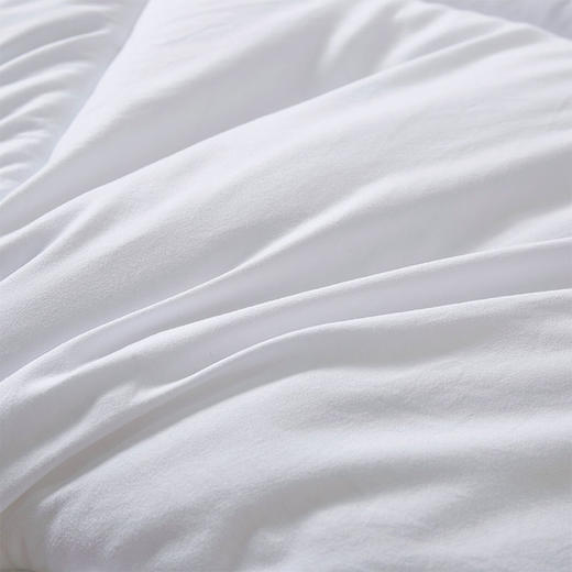 故园艾宁环保冬被芯2.0*2.3m【LY】 商品图3