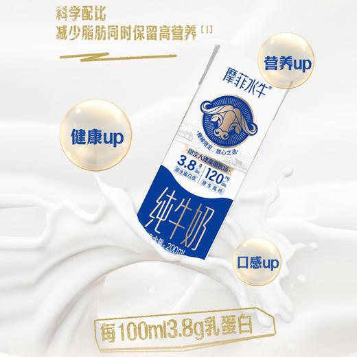 【来思尔】摩菲水牛纯牛奶全脂200ml*10盒*箱 商品图2