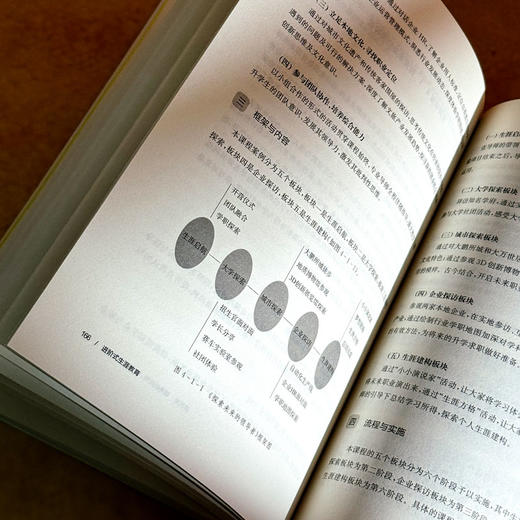 进阶式生涯教育 课程治理现代化丛书 王琦 郭丽萌 学校生涯规划 商品图13