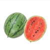 【10元4斤】珍珠红西瓜（1500252） 商品缩略图0