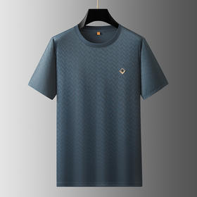 【冰丝】【DWP】大依优型大码短袖T恤圆领体恤加肥加大男士大号透气舒适夏季半袖