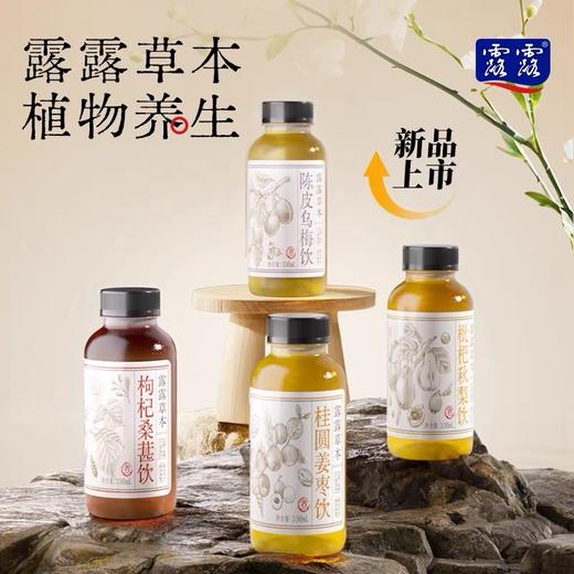 露露草本养生水330mL*15瓶陈皮水桂圆枸杞植物饮料四口味 商品图0