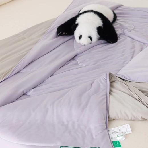 顶柔雾海冰柔有机竹粹软凉被BX2251 商品图2