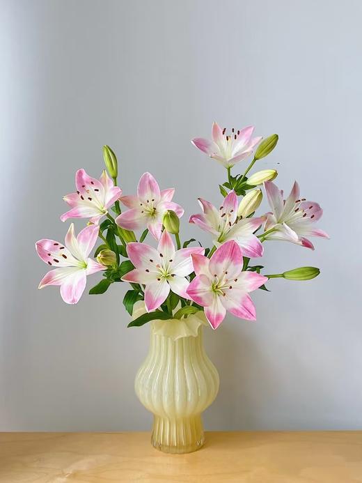 网红爆品萌萌哒多头亚百合5支 商品图2