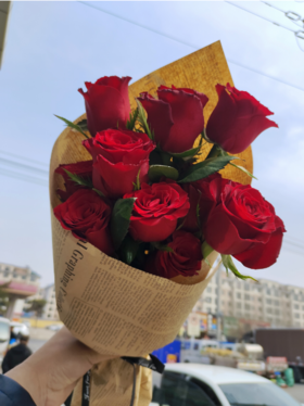 高原红红玫瑰10枝
