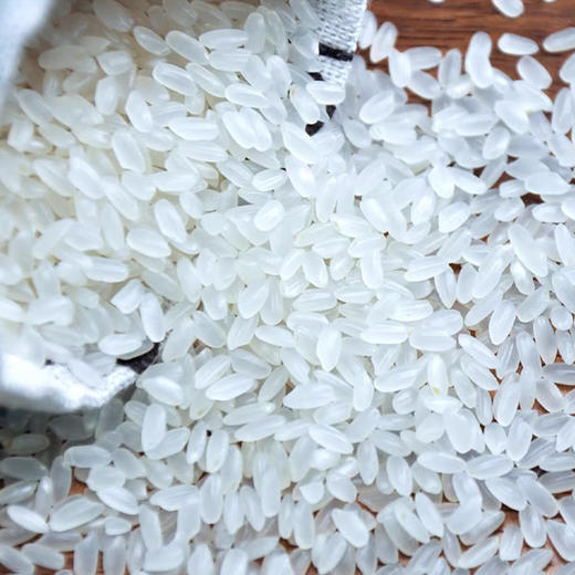 森稻福东北稻花香米5kg 商品图3