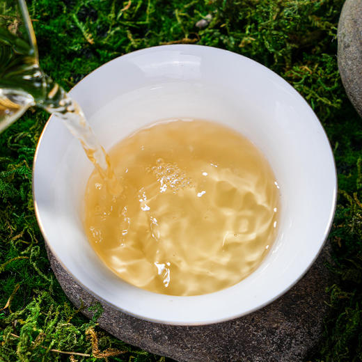 【买5送1】2019《天门山乔木》春茶 200克/饼 生茶 商品图2