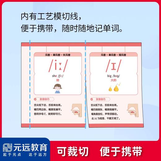 小学英语国际音标卡 商品图4