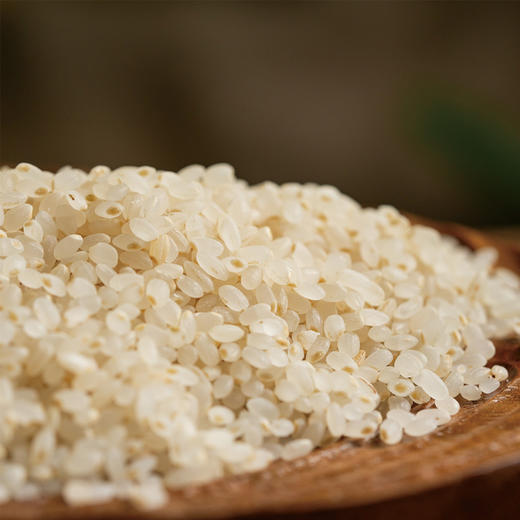 *物元农场双有机胚芽米新米东北粳米熬米油米汤杂粮粥饭胚芽粗粮|新米|全胚芽粳米 商品图5