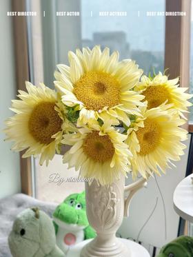 奶油色向日葵鲜切花5支