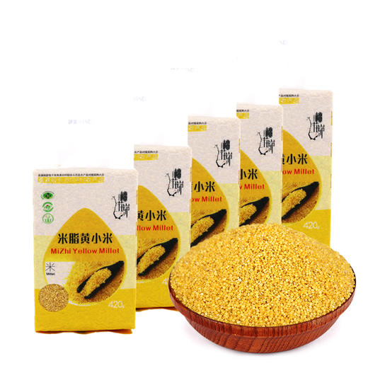 软糯香醇 粒粒分明 | 陕西米脂小米 土法鲜磨新米黄小米粗粮杂粮 米油丰富煮粥糕点食材 420克*5袋 商品图3