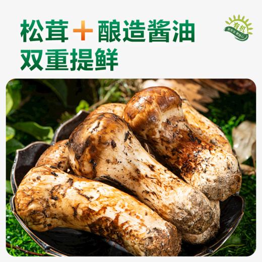 严选 | 大山合有机无添加减盐调味料组合装 松茸酱油152ml*3瓶+松茸鲜100g*1瓶+90g*2袋 商品图4