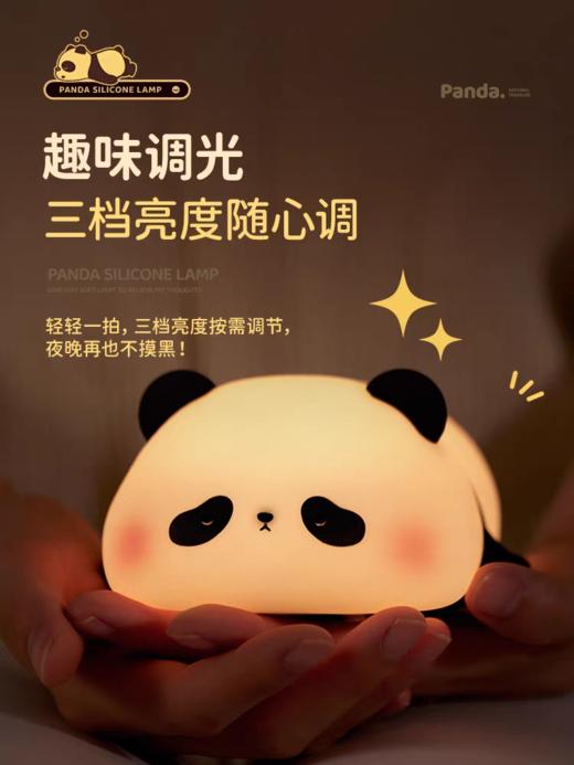 iDEAMAN拍拍灯 商品图3