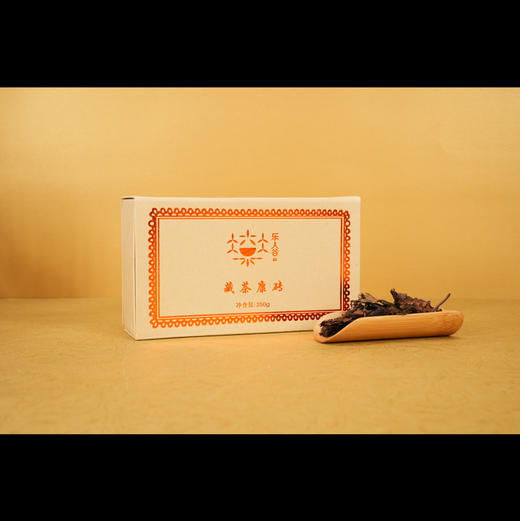 2001年民族团结康砖250g 商品图0