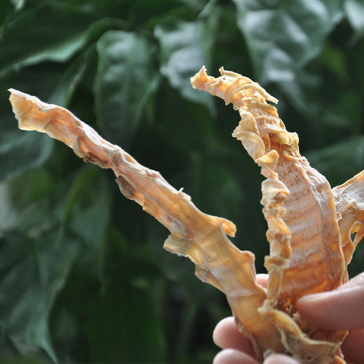 广东清远连州市粤众佳源精选冬笋干礼盒150g/盒 商品图2