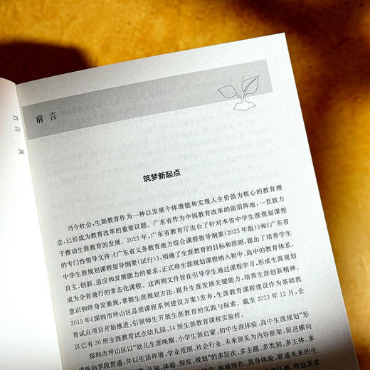 进阶式生涯教育 课程治理现代化丛书 王琦 郭丽萌 学校生涯规划 商品图7