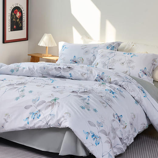 (分2个包裹发货）水星家纺全棉四件套DH【线下专柜同款】 花漾云汐 200cm×230cm/套+水星家纺全棉四件套DH【线下专柜同款】 琉光织梦 200cm×230cm/套【鲜知30.0】 商品图1