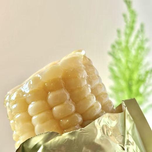 产地直发！新疆白糯玉米黄金玉米段【 天然雪水滋养 天然纯净  自然生产 香甜软糯会拉丝   人工采摘 真空包装  颗粒饱满 】 商品图5