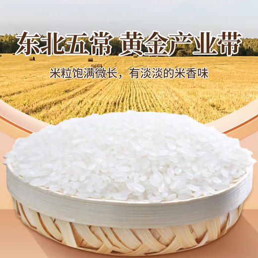 森稻福东北稻花香米5kg 商品图4