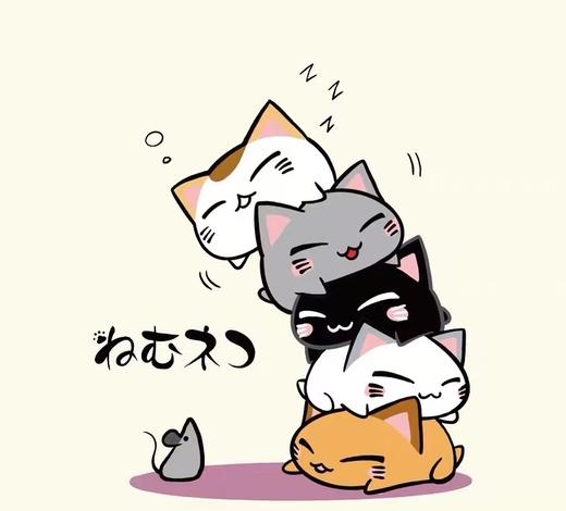 工厂直促价【100%棉】情侣（叠叠猫-大图）柯式印花短袖T恤-喜出 商品图5