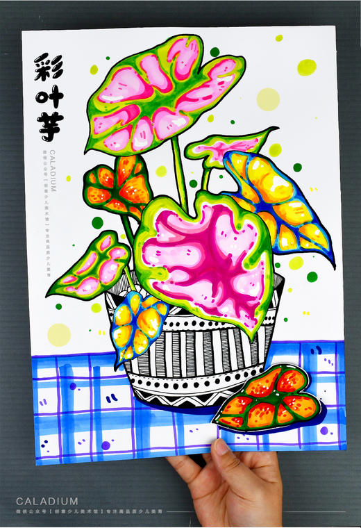 《植物界的小画家：彩叶芋》植物马克笔【自动发货：下单后，点击手机短信中收到的链接，即可获取文件下载的链接；如有任何问题，可添加客服微信hm33268获得帮助】 商品图0