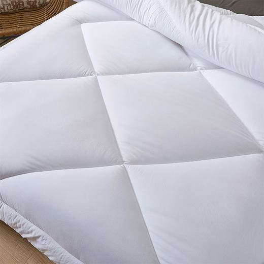 故园艾宁环保冬被芯2.0*2.3m【LY】 商品图0