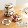 保鲜盒食品级冰箱专用收纳盒冷冻带盖食物密封盒水果便当盒小学生 商品缩略图4