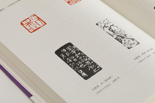 疆理：刘彦湖书法篆刻论集 商品图9