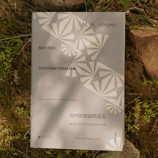 【文学纪念碑078】自然的超自然主义：浪漫主义文学中的传统与革命  定价158元 商品图3