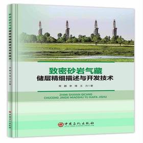 致密砂岩气藏储层精细描述与开发技术 特殊类型气田地质和开发研究 理论实践紧密结合，实用价值高