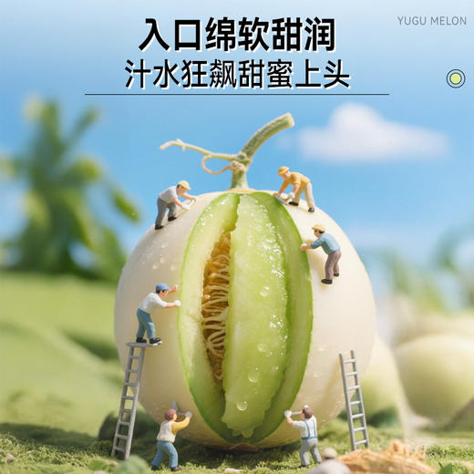 【专属】玉菇甜瓜 冰淇淋口感 软糯香甜当季现摘水果 顺丰包邮 源产地直发 商品图3