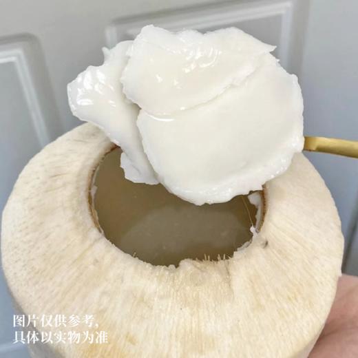 泰国香水椰 甄选大果 自然成熟 肉厚多汁 椰汁清澈透白  甘甜可口  椰香浓郁  就一口果香四溢更香甜 商品图5