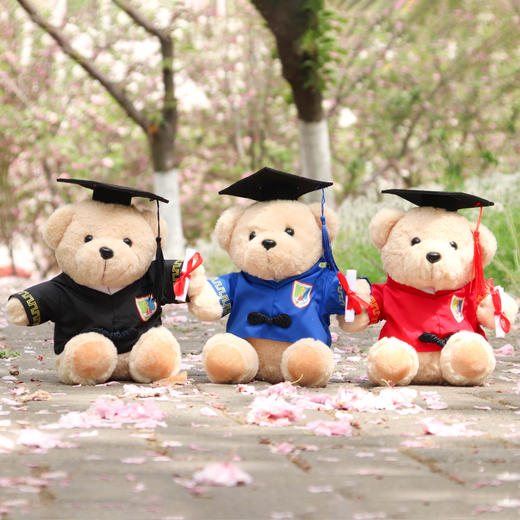 南医学位服小熊 商品图1