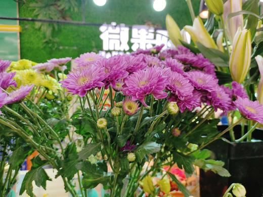 小雏菊3支 商品图0