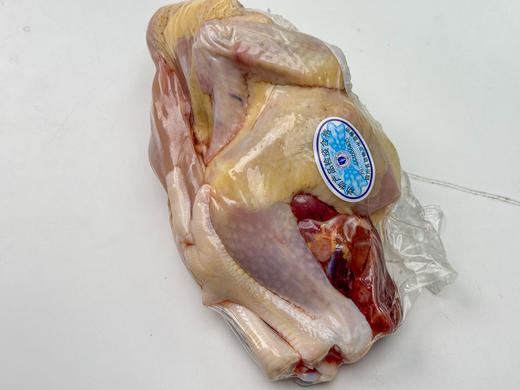 散养 三黄公仔仔鸡 童子鸡 75-95日龄不低于650克 表皮油脂丰富 商品图2