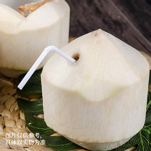 泰国香水椰 甄选大果 自然成熟 肉厚多汁 椰汁清澈透白  甘甜可口  椰香浓郁  就一口果香四溢更香甜 商品图2