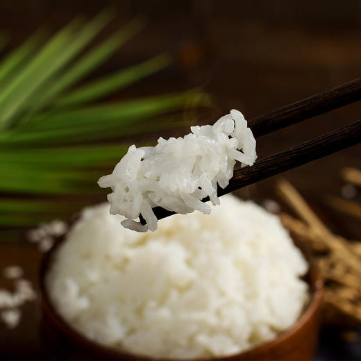 金福乔府大院-五常有机稻花香2号5kg（真空有机） 商品图2