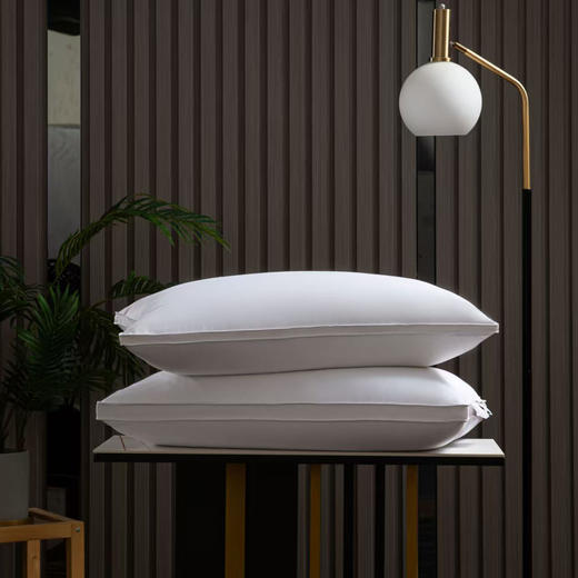 臻品鹅绒立体枕 商品图2