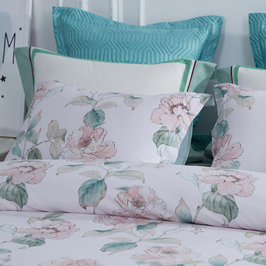 梦洁纯棉印花四件套：康沃尔【分仓直发，72小时发货，周末节假日不发货】 商品图1