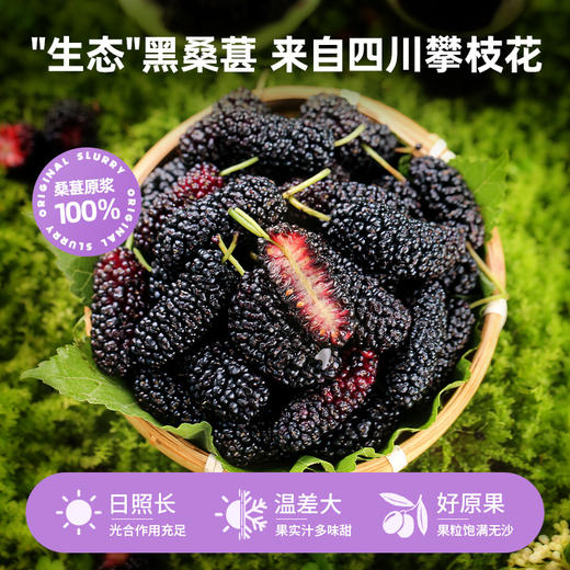 宁之春 桑葚原浆礼盒 2700ml（30ml*90袋） 商品图1