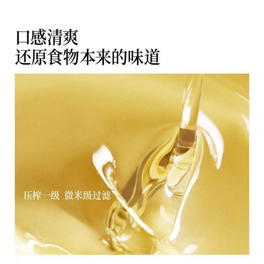 晟麦红花籽油500ml 商品图2