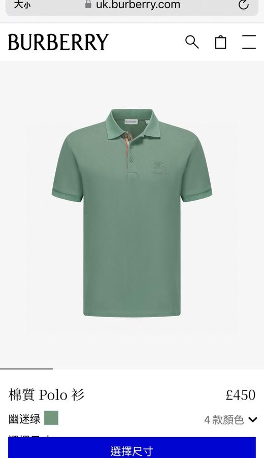 BUR战马刺绣三粒扣珠地Polo衫 纯棉大网孔蜂窝编织珠地 商品图2