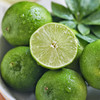 【海南好物】香水柠檬 2斤 商品缩略图0